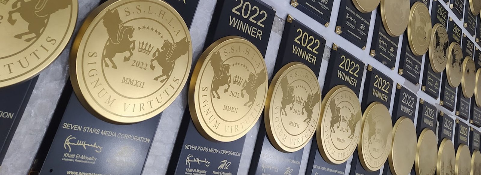 Lüksün Oscar’ı Seven Stars Luxury Hospitality and Lifestyle Awards