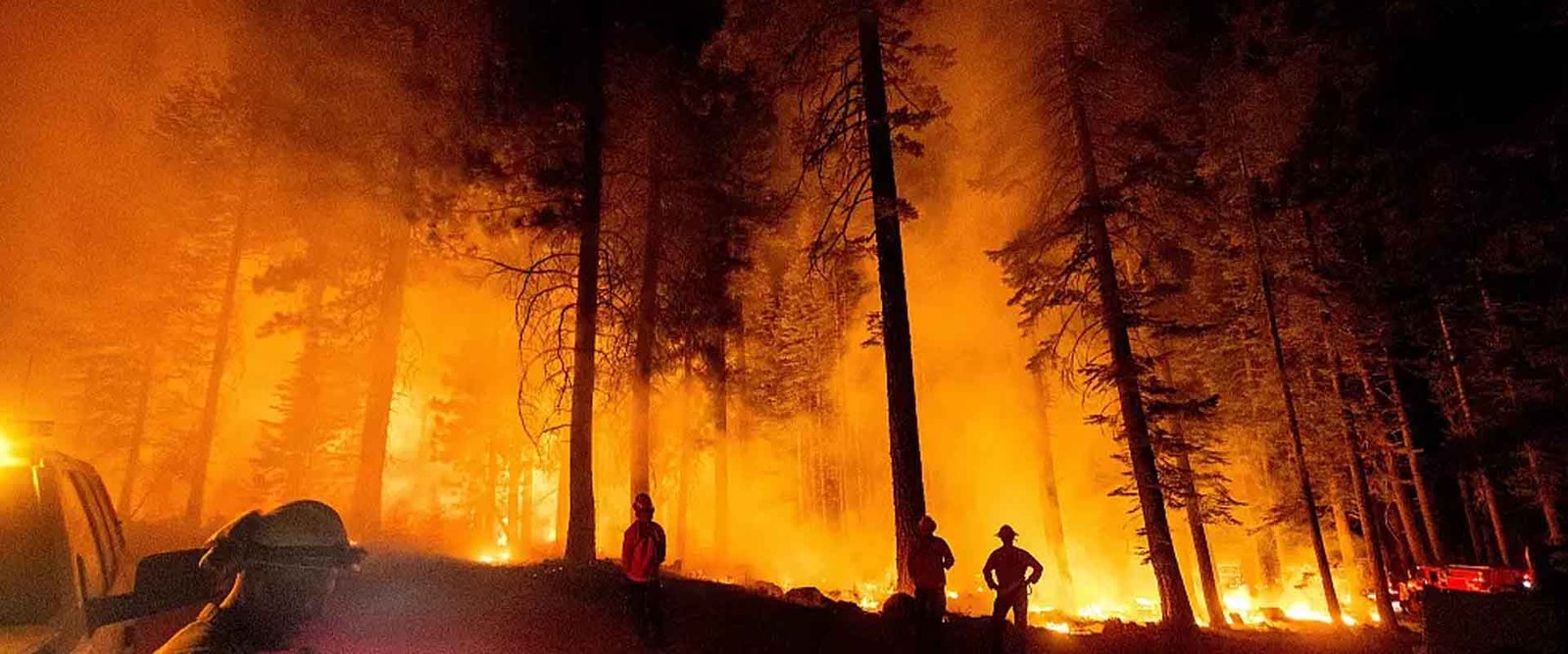 Orman Yangınları Doğal Afetlerin Nedenleri Ve İnsanlar Ve Doğa Arasındaki İlişkisi