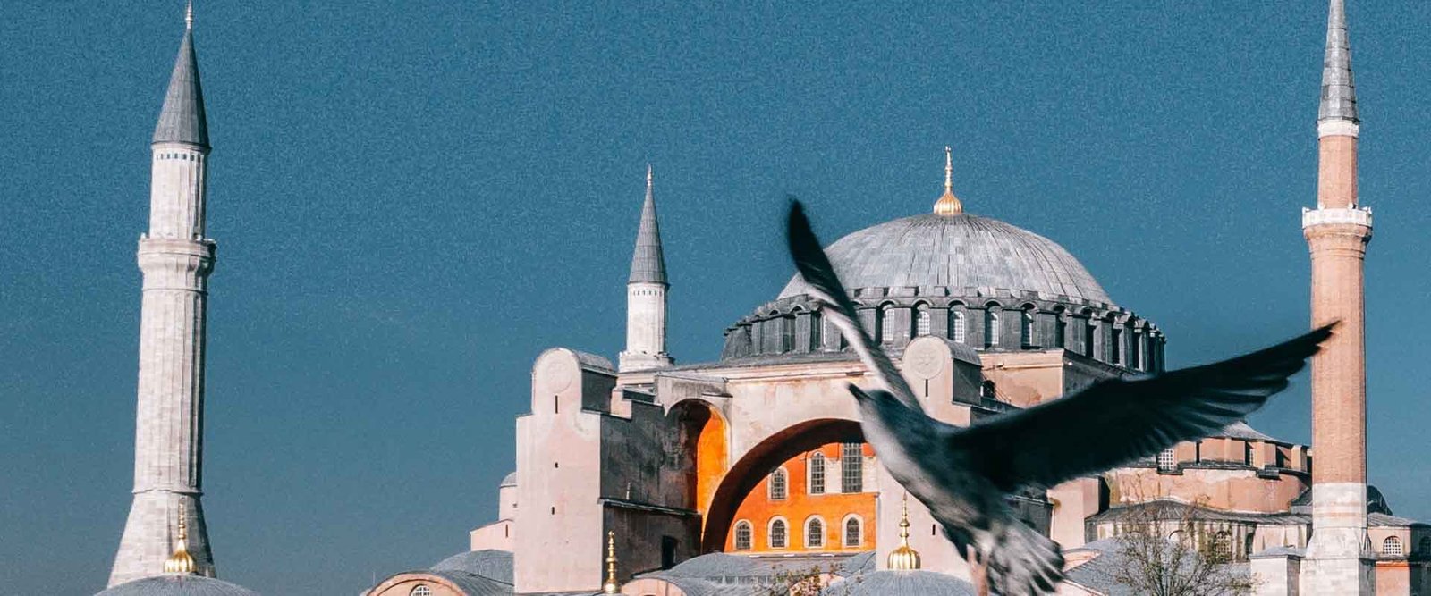 Bu Yıl İstanbul'a 30 Milyon Turist Bekleniyor Okan Başusta