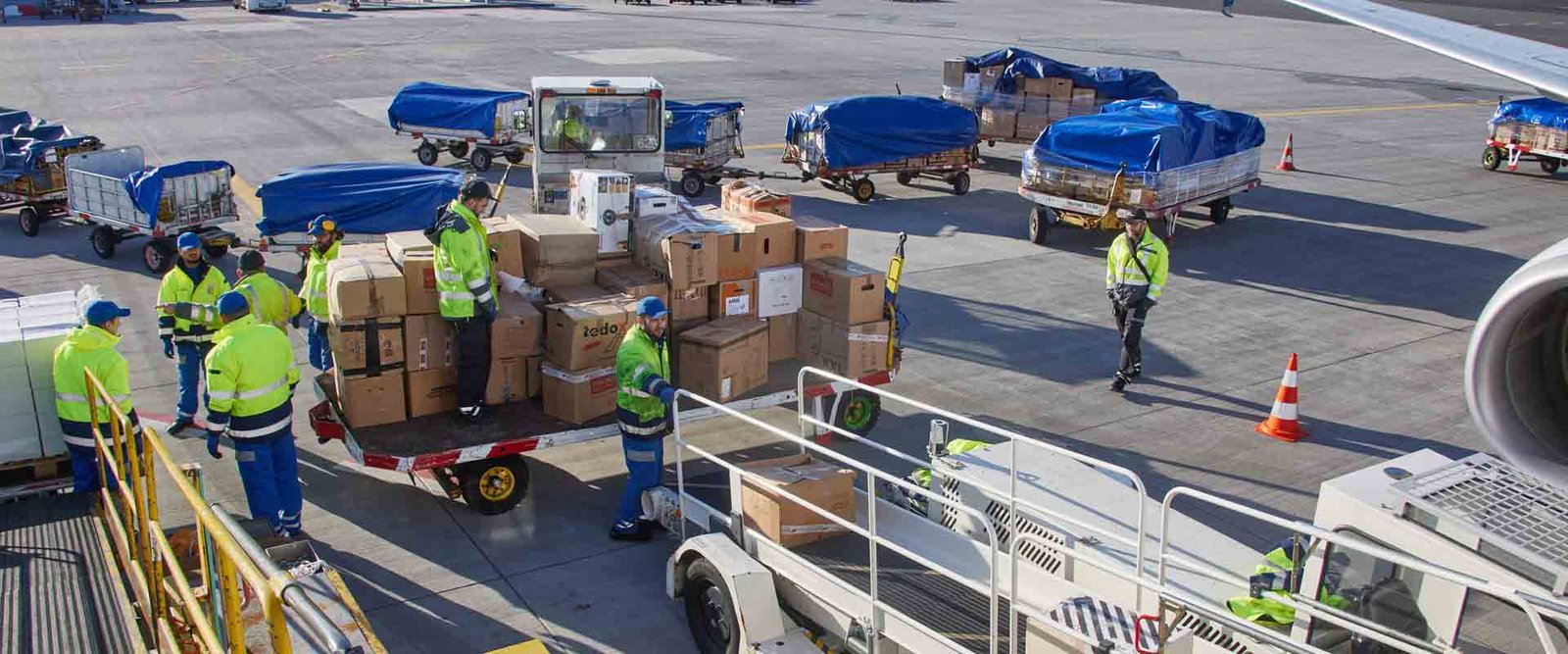 SunExpress Almanya’dan Türkiye'ye 450 ton yardım malzemesi getirildi