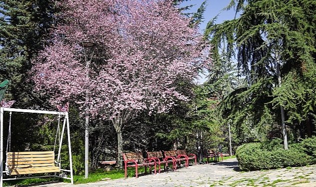 Kecioren e bahar geldi 1460.jpg