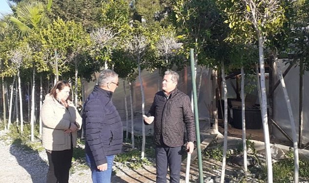 Kemer in cicekleri sezona hazir 9690.jpg