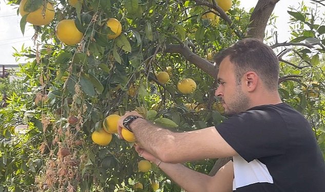 Kucukcekmece belediyesi nden hatay daki ureticilere destek 846.jpg