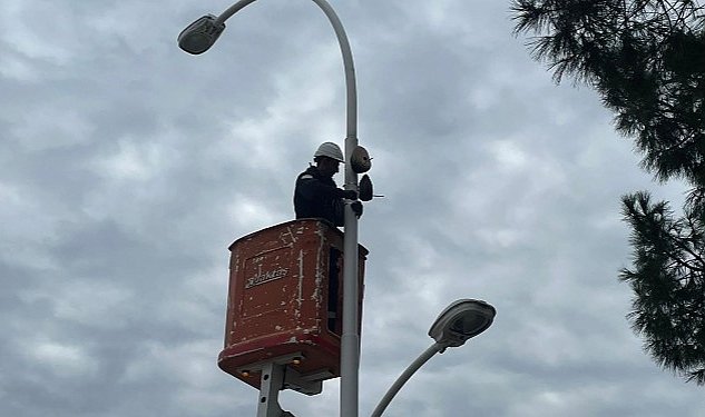 Leylek ve kuslarin ugrak noktasi olan sokak lambalari ve elektrik direkleri uedas sayesinde birer yuvaya donusuyor 5703.jpg