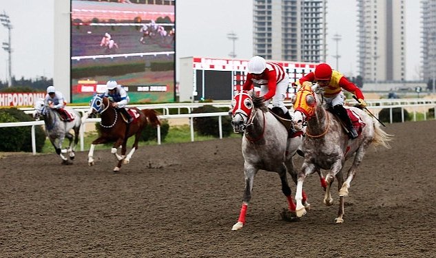 Veliefendi hipodromu nda corlu belediye baskanligi kosusu duzenlendi 8800.jpg