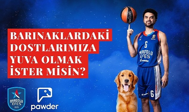 Anadolu efes pawder is birligiyle depremzede kopeklerin ve barinak hayvanlarinin sahiplendirilmesine destek olacak 5249.jpg