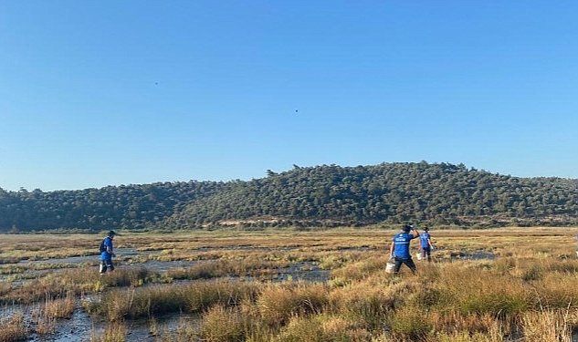 Buyuksehir vektorle mucadele calismalarina devam ediyor 461.jpg