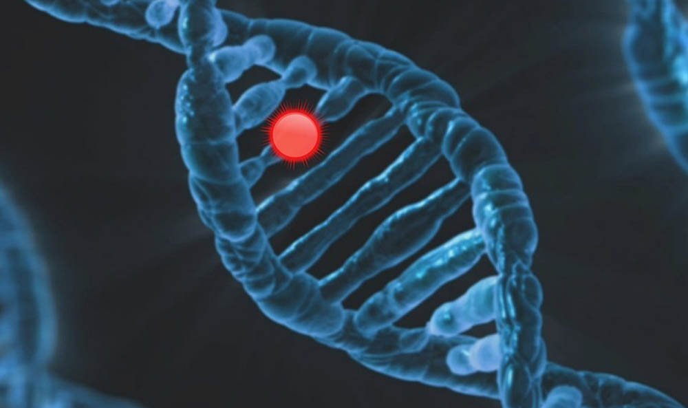 Epigenetik Dönüşüm Çevresel Etkilerin Genetik Aktarım Üzerindeki Etkisi (1)