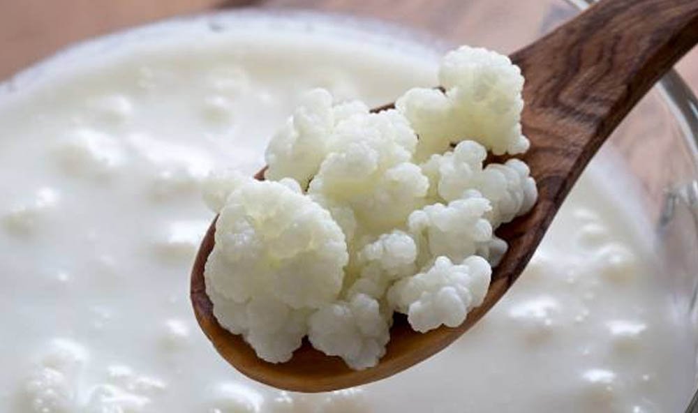 Kefir İçmek İçin 15 Neden!
