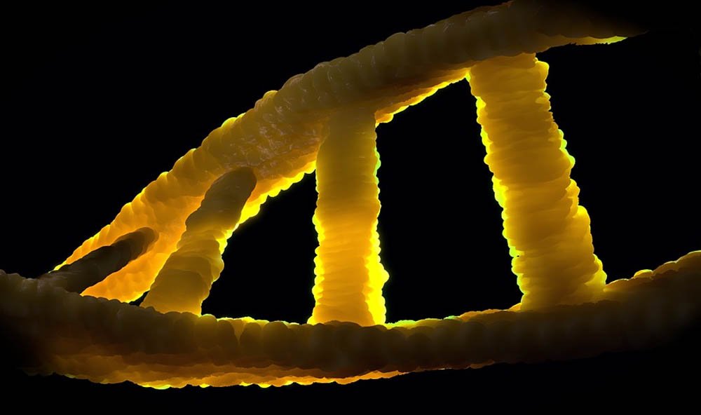 Uzun Yaşam Teknolojileri İnsan Ömrüne Sınırsızlık Getirilebilir mi (1)