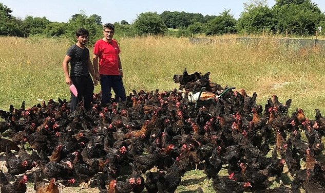 Buyuksehir den ureticilere yuzde 50 hibeli yumurta tavugu 8977.jpg