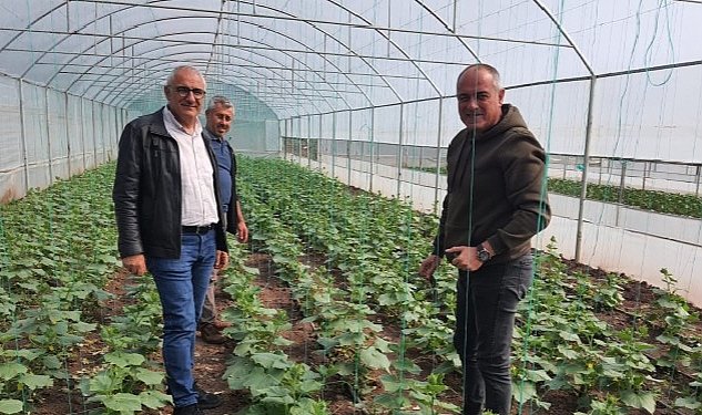 Gemlik belediyesi nde organik tarim calismalari suruyor 2965.jpg