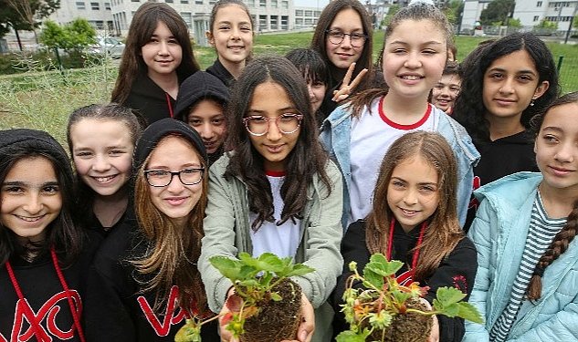 Ogrenciler mini bostan da fide dikti 440.jpg