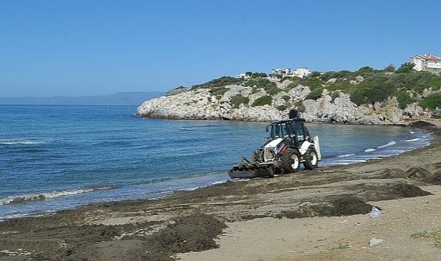 Seferihisar in plajlari yaza hazirlaniyor 6918.jpg