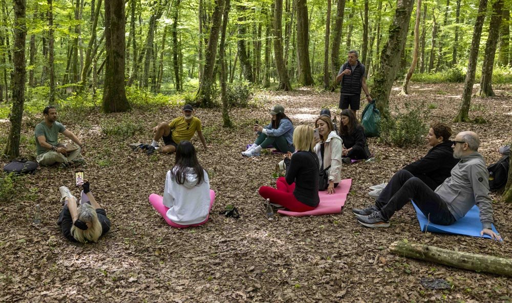 Global Wellness Day Seamlesstance 1 (4)