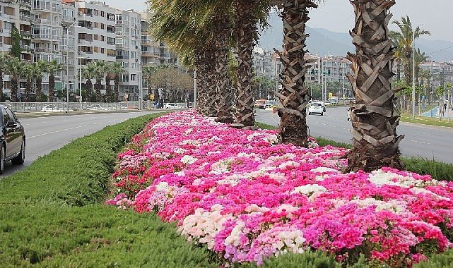Izmir cicek acti 26.jpg