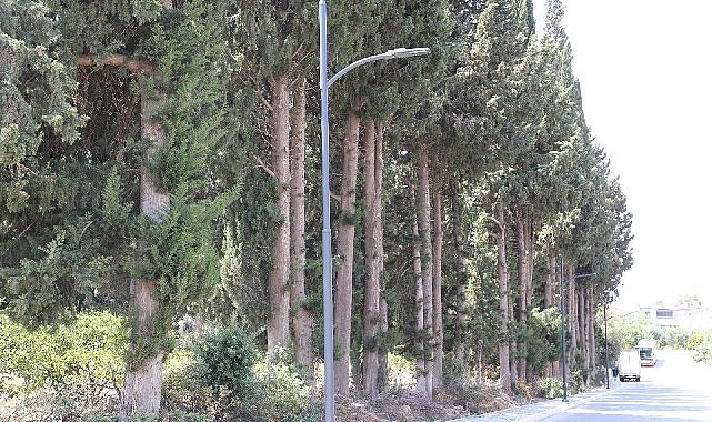 Menderes e yeni aydinlatmalar 3044.jpg