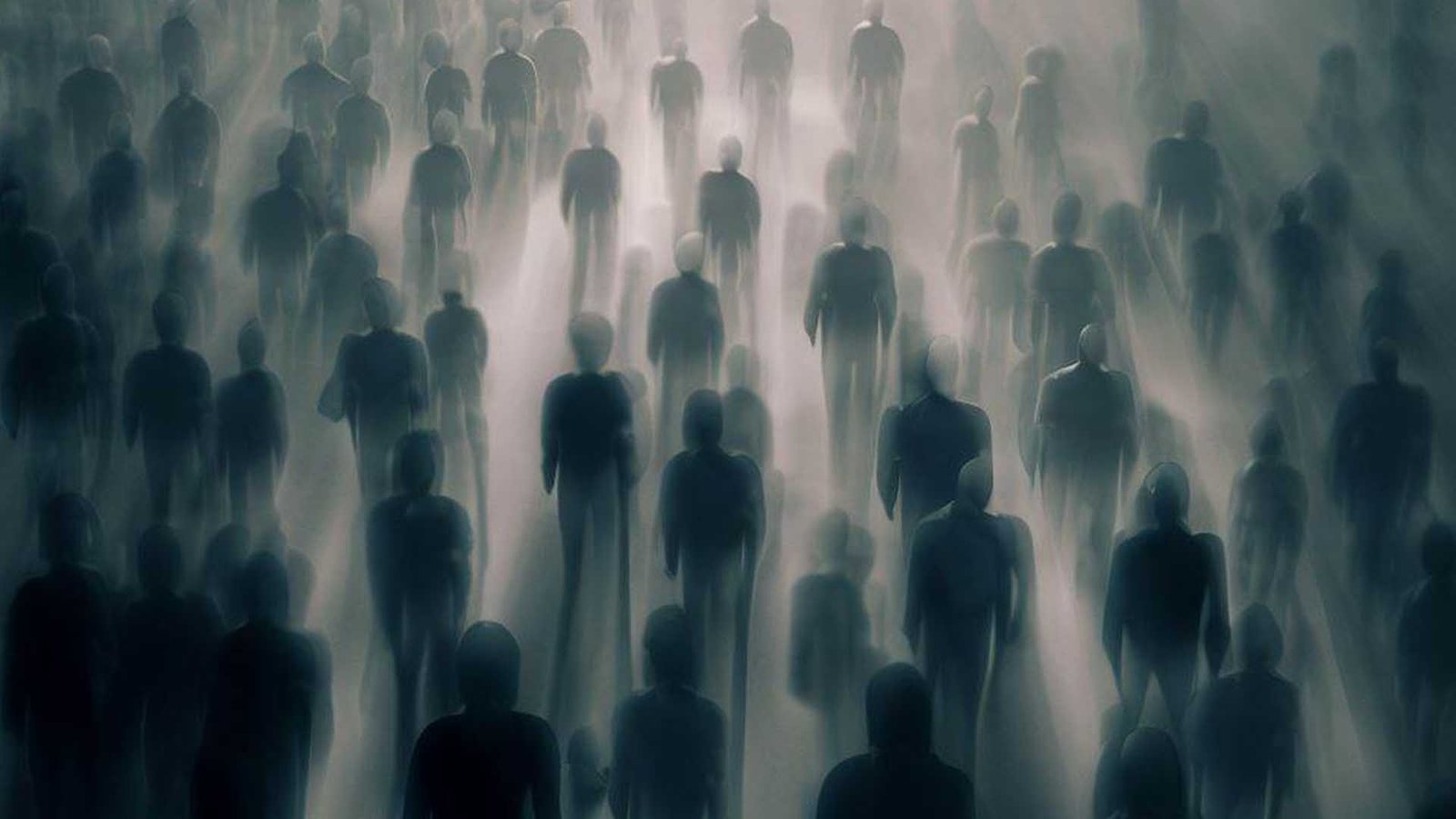 Gönüllülük Çalışmaları ve Toplumsal Sorumluluk Toplum İçin Bir Değer, Bireyler İçin Bir Deneyim (2)