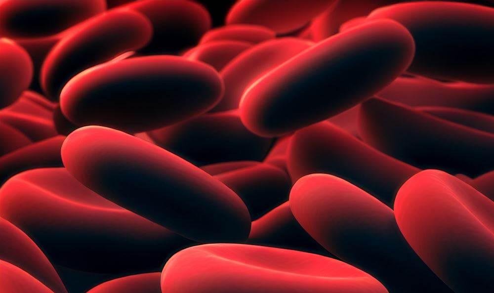 Hepatit Türleri A, B, C, D ve E Arasındaki Farklar (2)